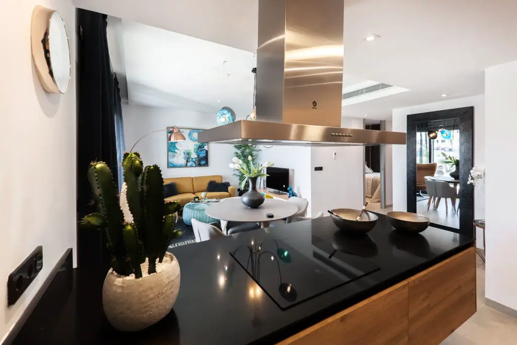 Image of a black countertop with a cactus plant pans an electric stove and a range hood. Source: Ralph Ravi Kayden, Unsplash