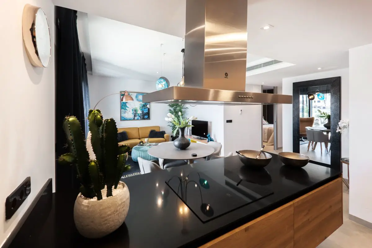 Image of a black countertop with a cactus plant pans an electric stove and a range hood. Source: ralph ravi kayden, unsplash